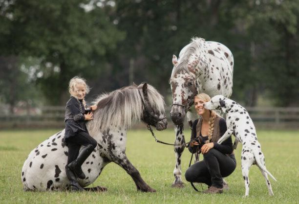 Greetje Arends-Hakvoort - Human & Horse Practical Training